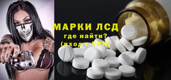 гидра Володарск