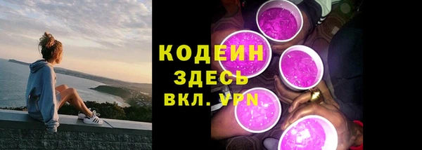 гашик Вязьма