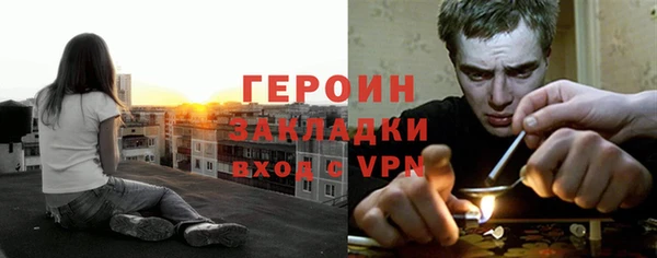 прущие грибы Вязники