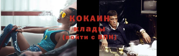 прущие грибы Вязники
