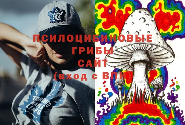 гидра Володарск