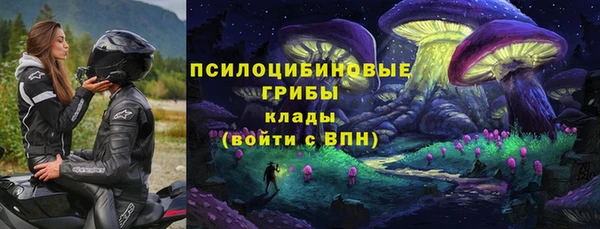 гидра Володарск
