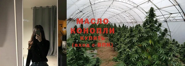 гашик Вязьма