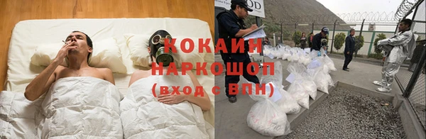 прущие грибы Вязники