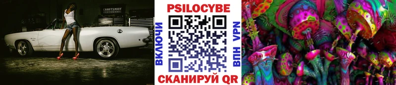 darknet Telegram  купить   Петровск  Псилоцибиновые грибы мухоморы 